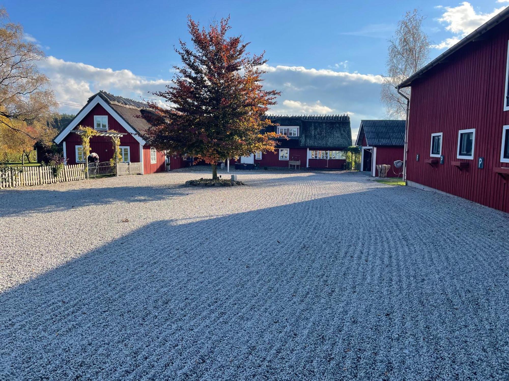 Sanddala Bed & Breakfast Everod Eksteriør billede